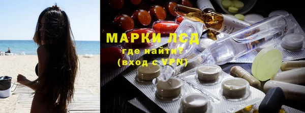 PSILOCYBIN Алзамай