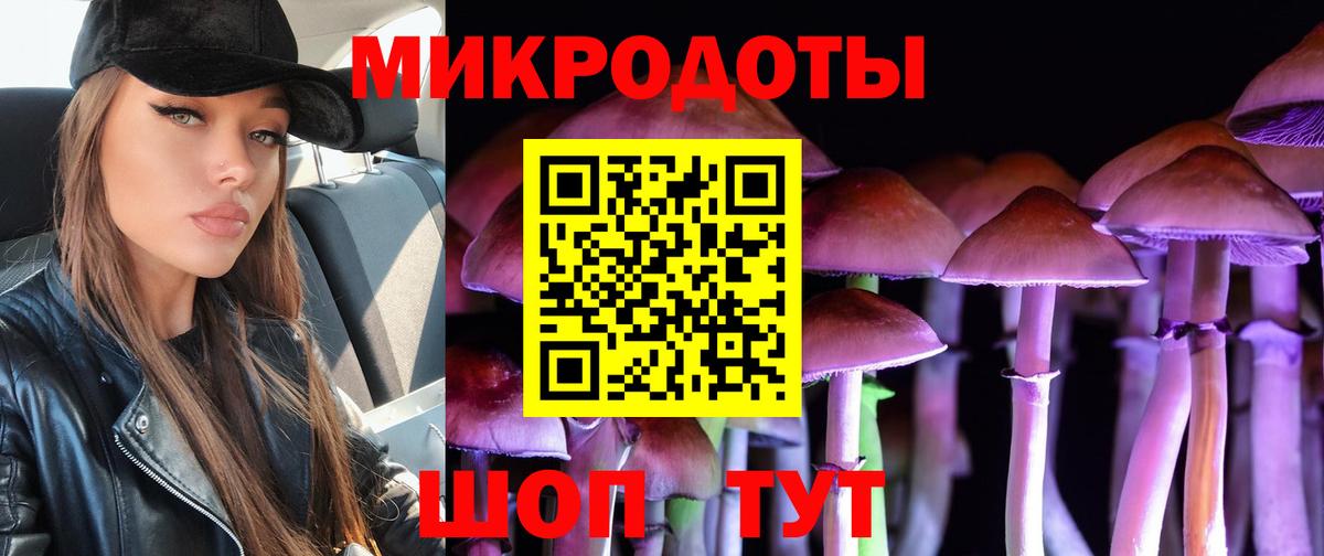 Галлюциногенные грибы GOLDEN TEACHER  Вход с VPN  Черкесск 